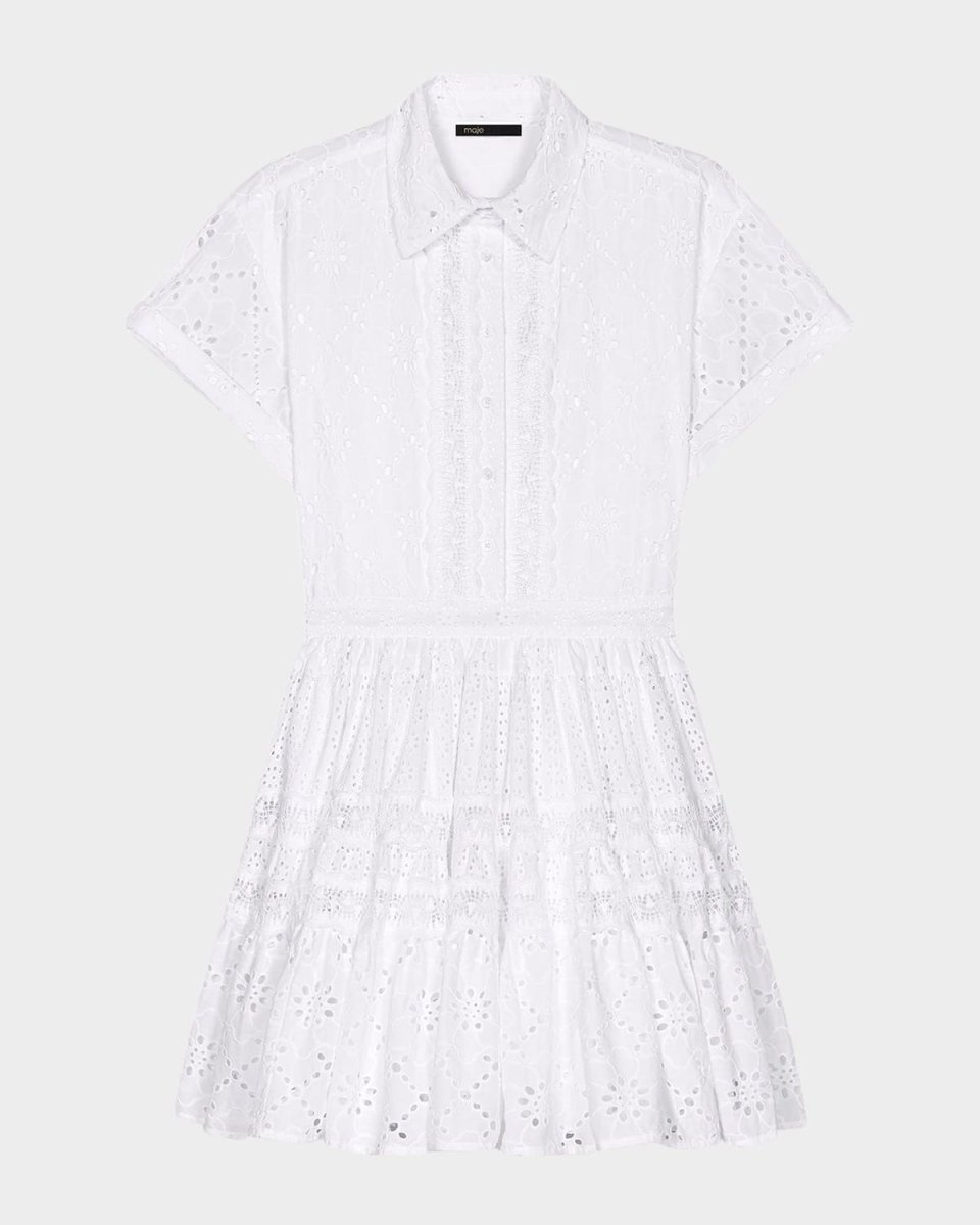 Ribrody Embroidered Mini Dress